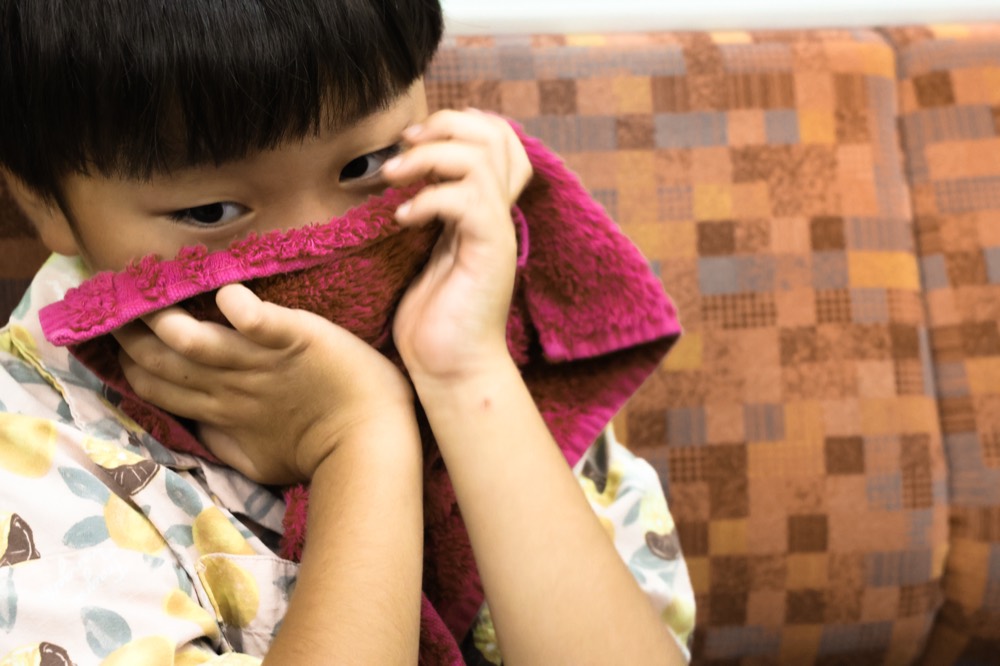Japan &mdash; documentary frame