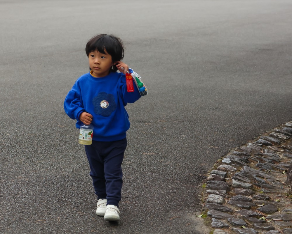 Japan &mdash; documentary frame