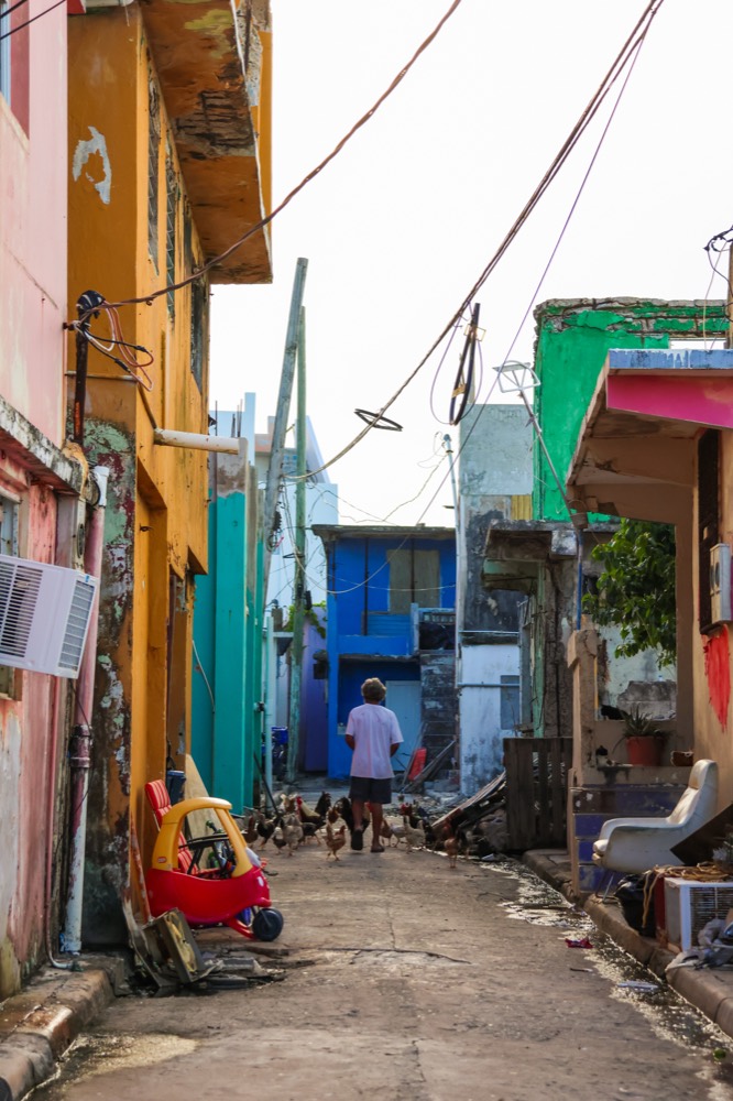 Puerto Rico &mdash; documentary frame