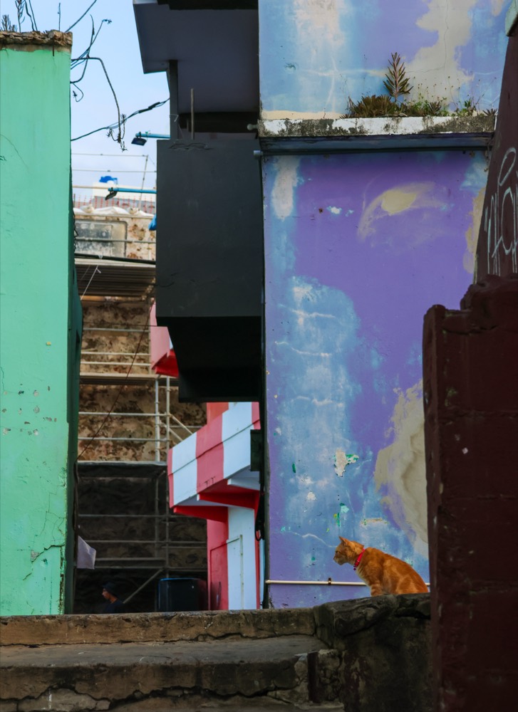 Puerto Rico &mdash; documentary frame