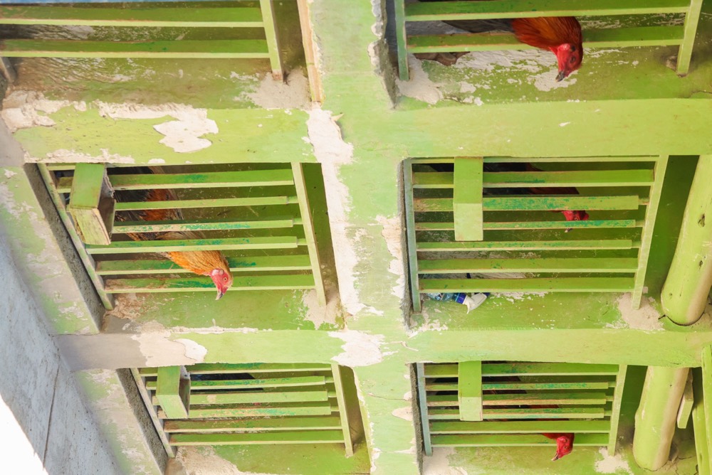 Peru — documentary frame