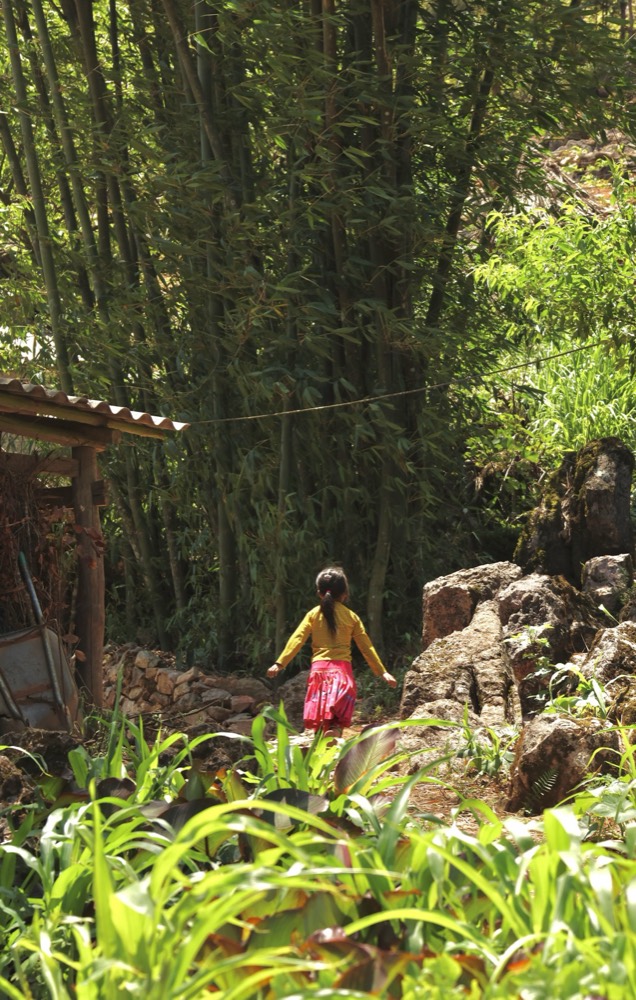 Vietnam — documentary frame