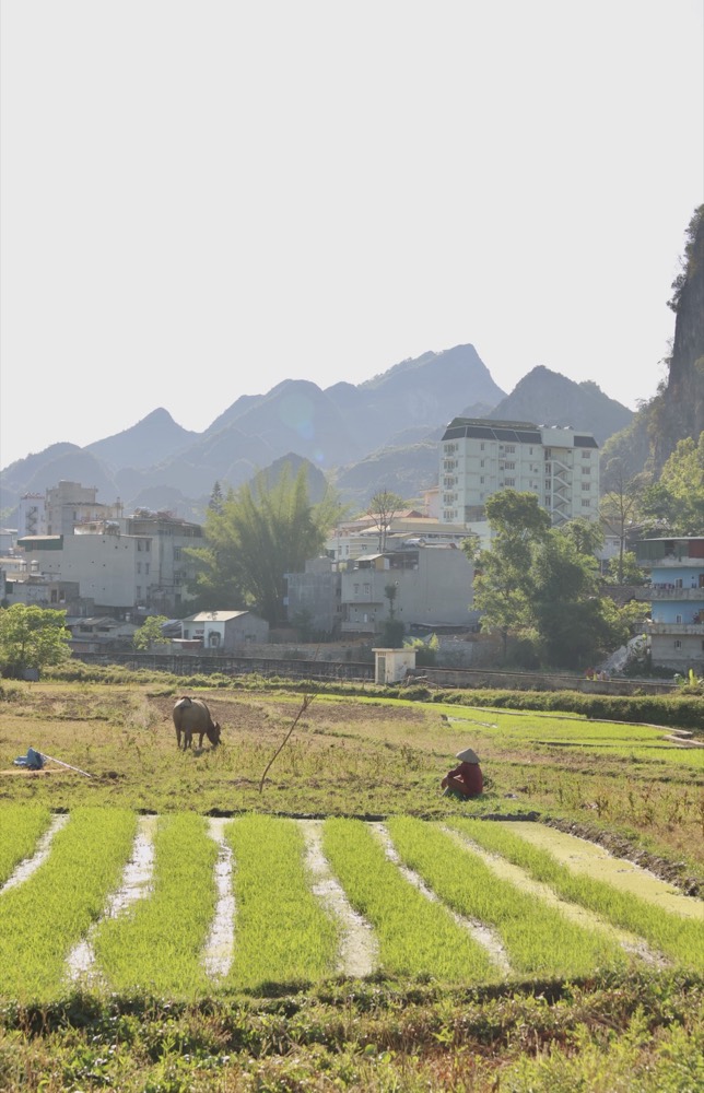 Vietnam — documentary frame