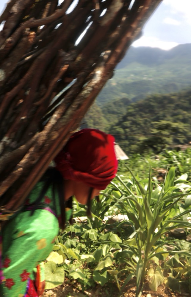 Vietnam — documentary frame