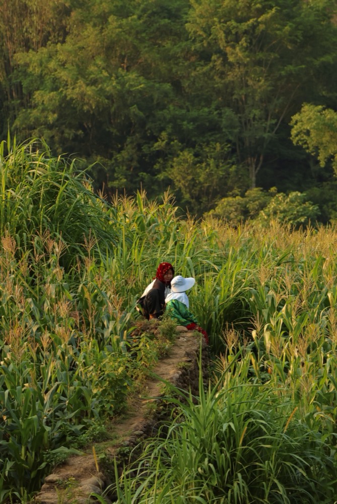 Vietnam — documentary frame