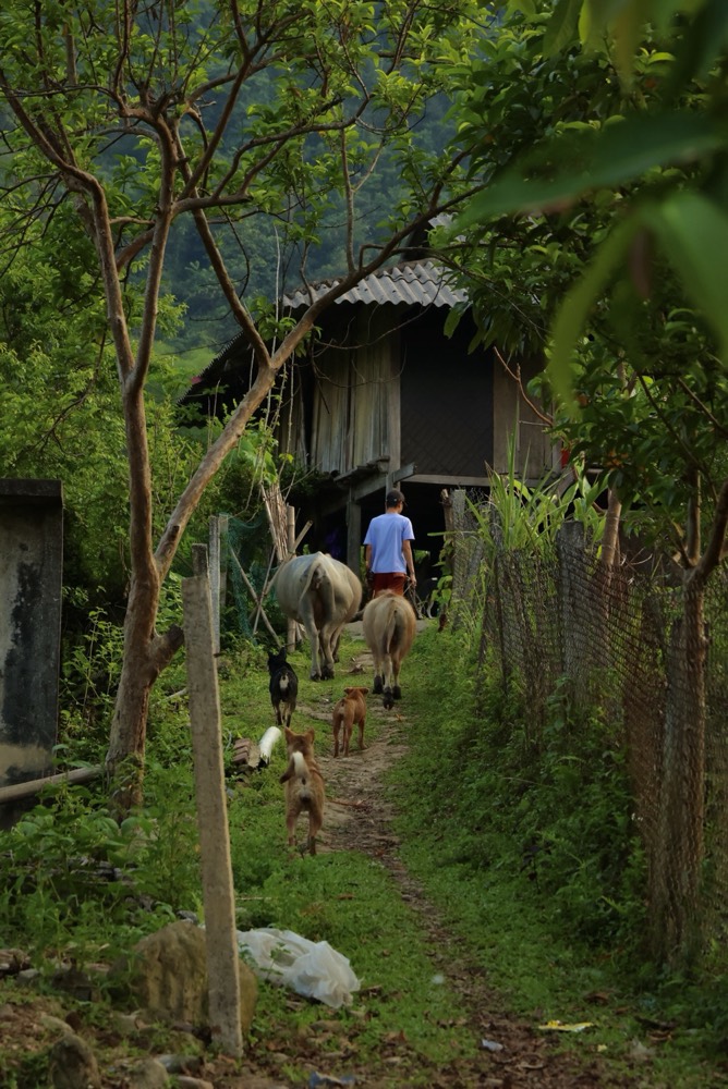 Vietnam — documentary frame