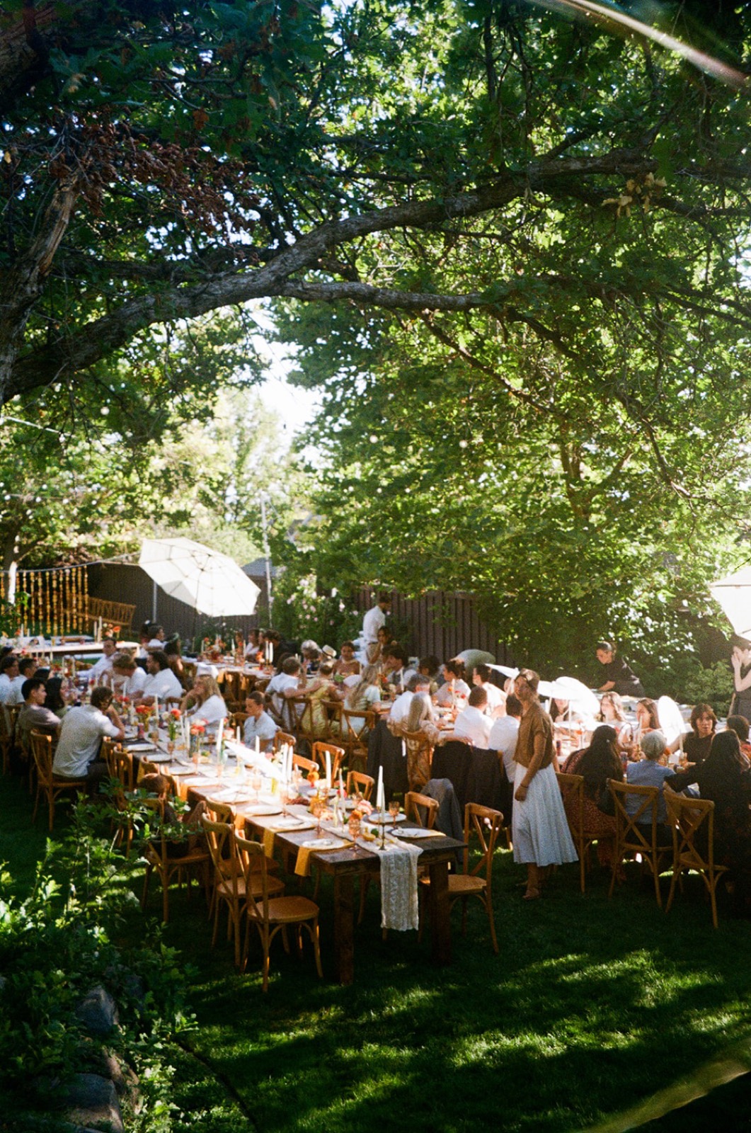Long tables set under the oak trees at dinner