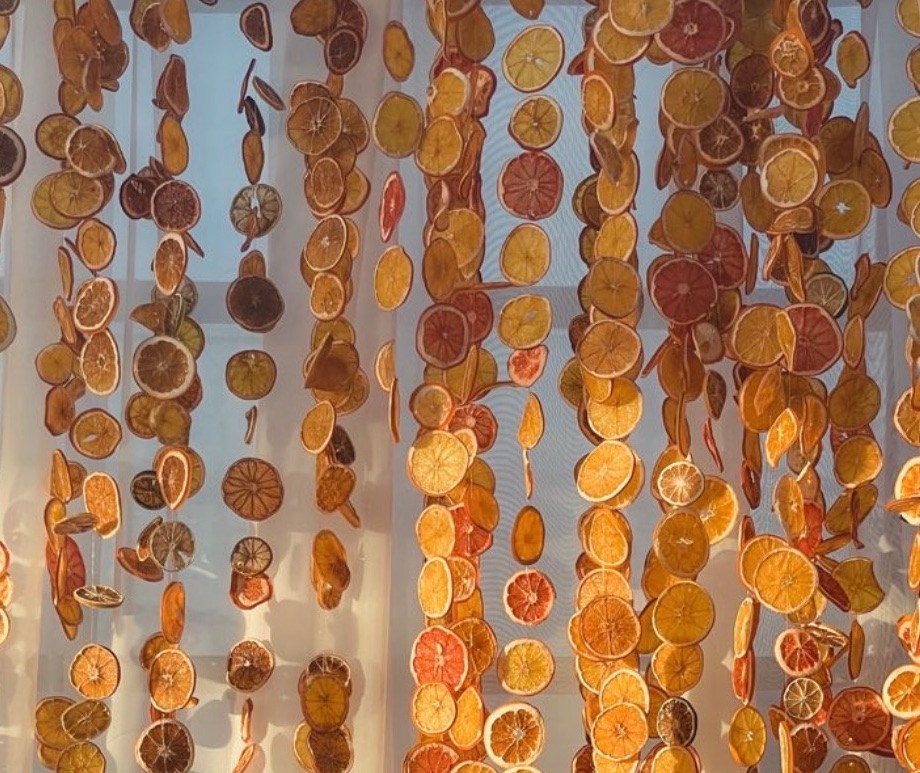 Dried citrus garland hung as a backdrop