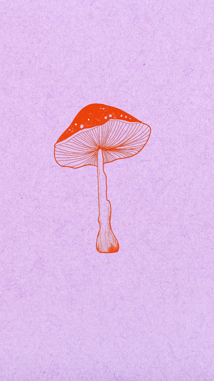 Red mushroom drawn in fine line work on lilac paper