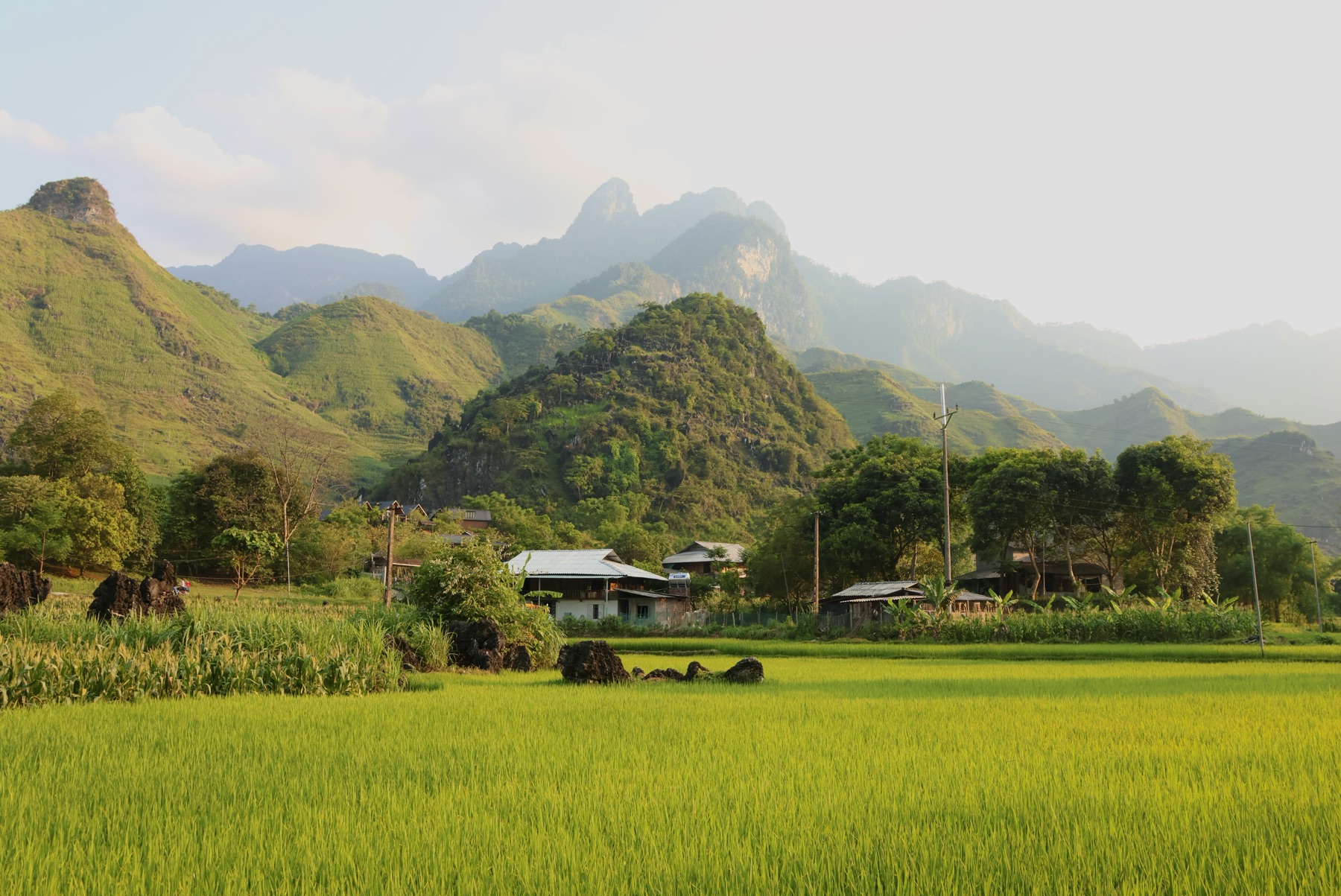 Vietnam — terraced hillside